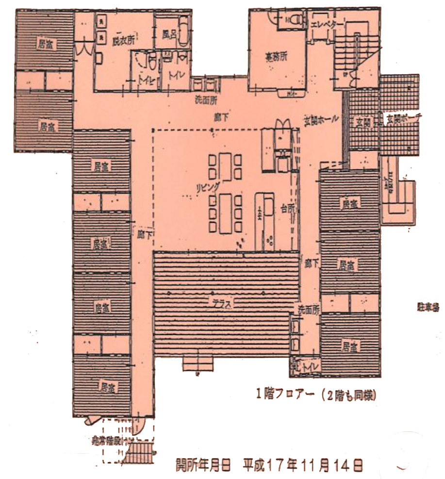 あんずの木写真3