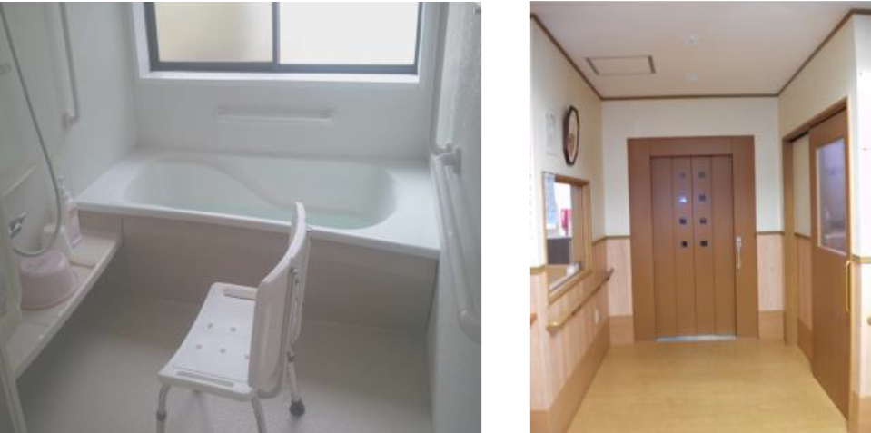 あんずの木写真7