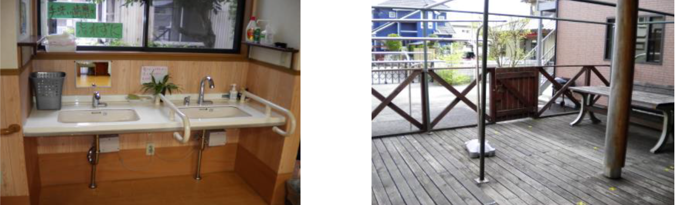 あんずの木写真8