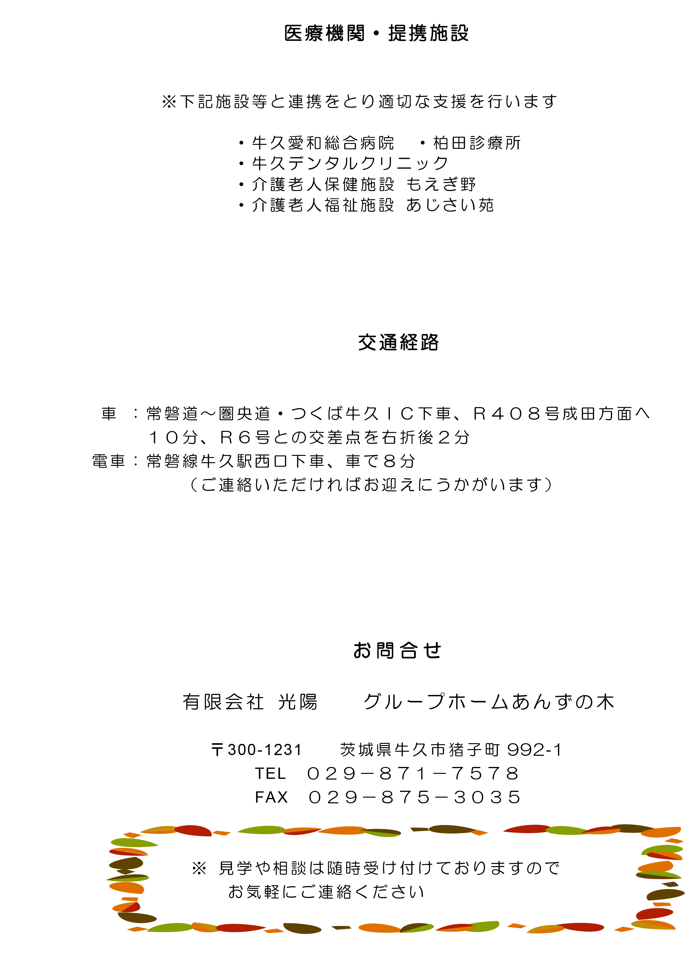 あんずの木4ページ